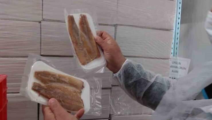 Su ürünleri üretimi yapılan tesislerde denetim