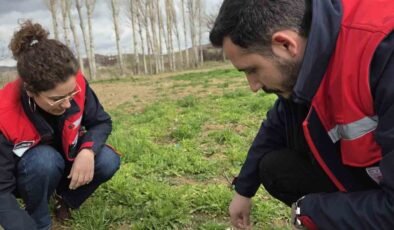 Tarım arazilerinde hastalık ve zararlı kontrolleri yapıldı