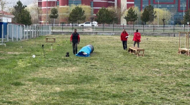 Uluslararası düzeyde alan ve enkaz arama köpekleri sınavı Afyonkarahisar’da başladı