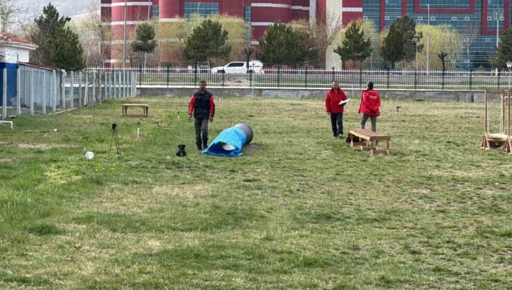 Uluslararası düzeyde alan ve enkaz arama köpekleri sınavı Afyonkarahisar’da başladı