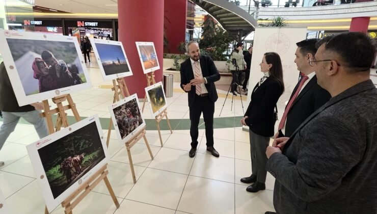 Uluslararası Tarım, Orman ve İnsan Fotoğraf Sergisi” Kütahya’da açıldı