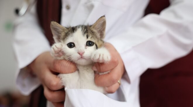 Odunpazarı’nda minik yüreklerden büyük mesaj: Sevgi varsa umut var