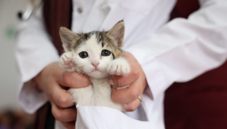 Odunpazarı’nda minik yüreklerden büyük mesaj: Sevgi varsa umut var