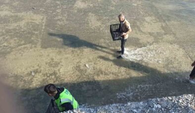 Akıntıya kapılan balıkları yakalamak için birbirleriyle yarıştılar