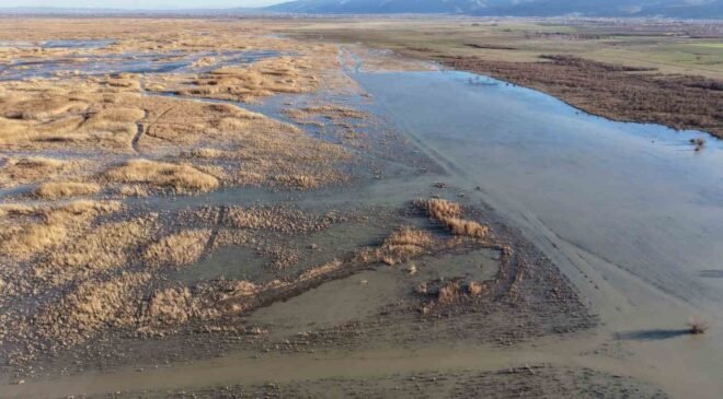 Akşehir Gölü’nde yıllardır görülmeyen oldu