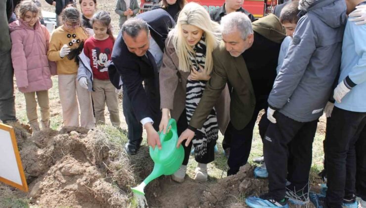 Altıntaş’ta ağaç dikme etkinliğinde fidanlar toprakla buluştu