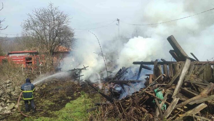 Araç yangını odunluğa sıçradı