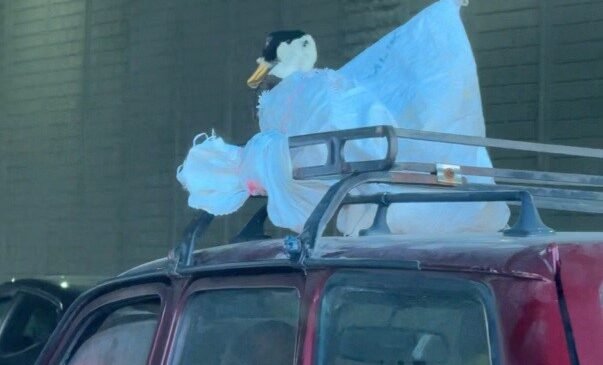 Aracın üzerindeki kazın ilginç yolculuğu kameraya yansıdı