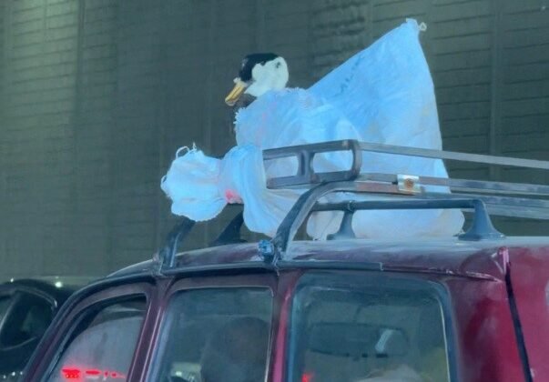 Aracın üzerindeki kazın ilginç yolculuğu kameraya yansıdı