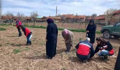 Aslanapa’da çiftçilere yönelik eğitim ve saha çalışmaları gerçekleştirildi