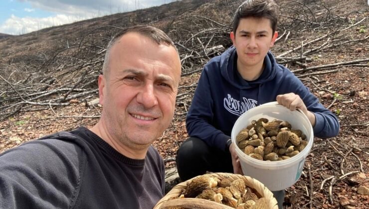 Baba ve oğlunun yüzünü güldüren mantar avı