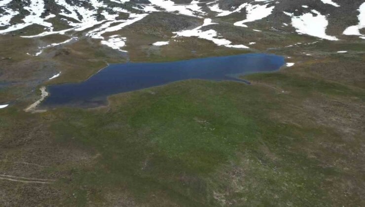 Bahar ve kış mevsimi aynı anda görüntülendi, ortaya eşsiz manzara çıktı