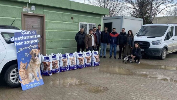 Beş yılda beş ilde 30 tonun üzerinde mama bağışı yapıldı