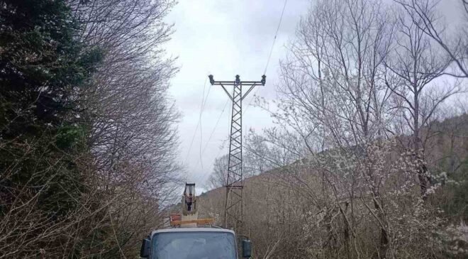 Bilecik’te elektrik akımına kapılan işçi ağır yaralandı