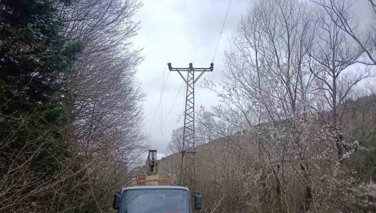 Bilecik’te elektrik akımına kapılan işçi ağır yaralandı