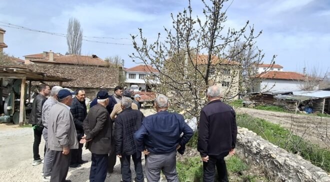 Bilecik’te gübreleme ve budama eğitimi gerçekleştirildi