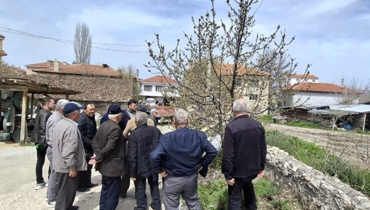 Bilecik’te gübreleme ve budama eğitimi gerçekleştirildi