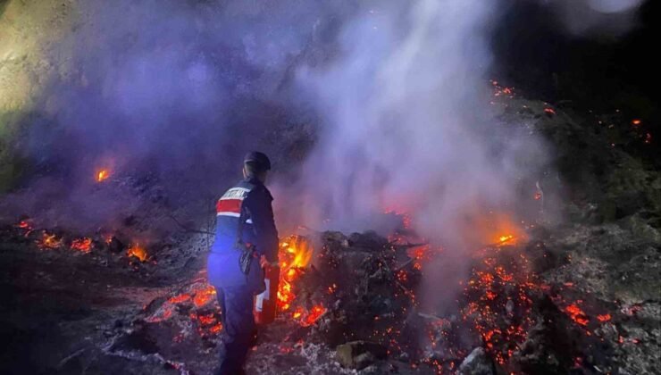 Bilecik’te otluk alanda çıkan yangın korkuttu