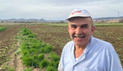 Çiftçinin doğal mesai arkadaşları iş başında