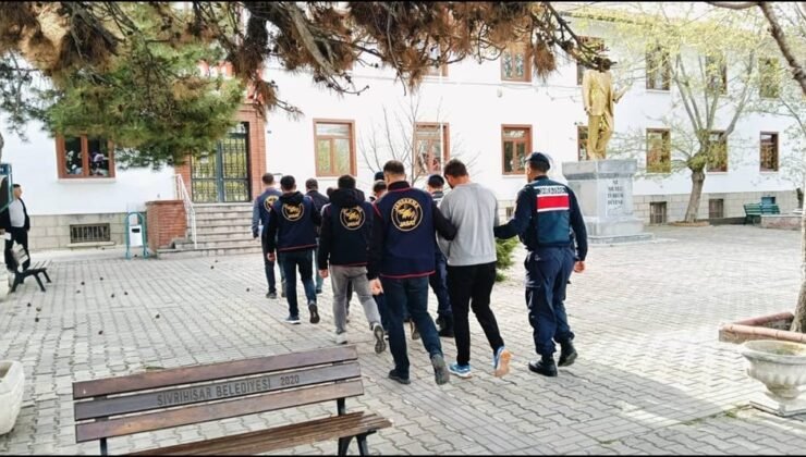 Çobanları hamama götürüp oyaladılar, 36 büyükbaş hayvanı çaldılar