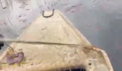 ‘Nilüfer Cenneti’nde kaçak avcılığa ‘dur’ denildi