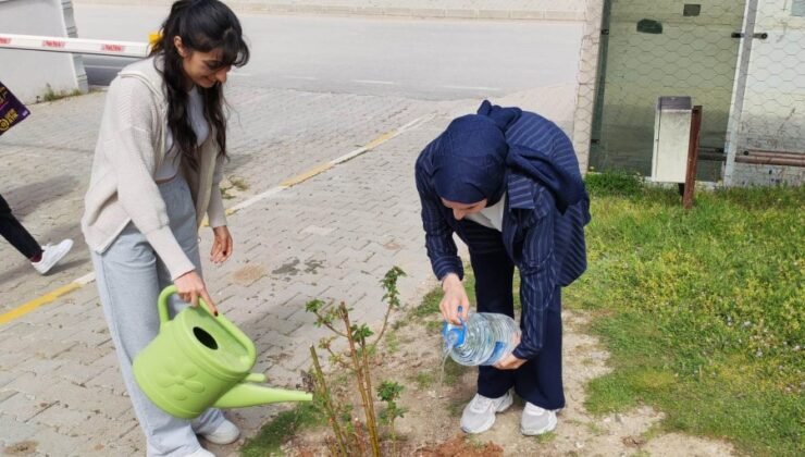 Emet MYO kampüsüne gül fidanı dikimi