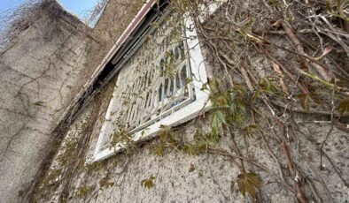 Eskişehir’de ‘Sarmaşıklı Camii’nin dış cephesi yeşermeye başladı