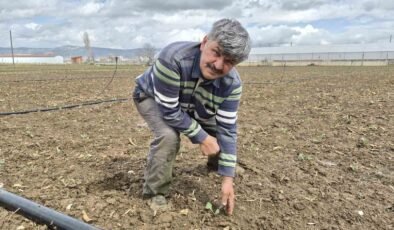 Eskişehir’de yılın ilk tohum ve fideleri toprakla buluştu