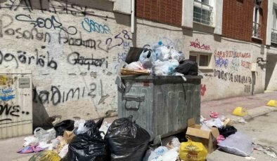 Güllük Mahallesinde yetersiz çöp konteynırı sebebiyle çöpler yollara taştı