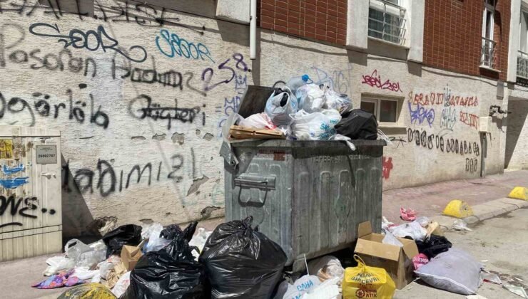 Güllük Mahallesinde yetersiz çöp konteynırı sebebiyle çöpler yollara taştı