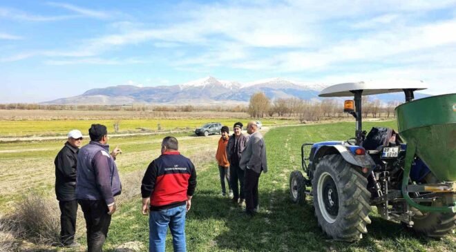 Haşhaş ve hububatta hastalık ve zararlı kontrolleri başladı