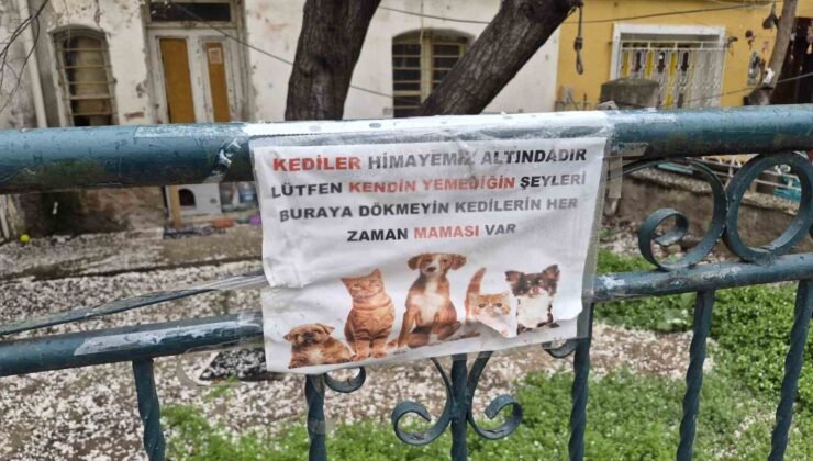Hayvanseverlerin ilginç yazısı: “Kediler himayemiz altındadır”