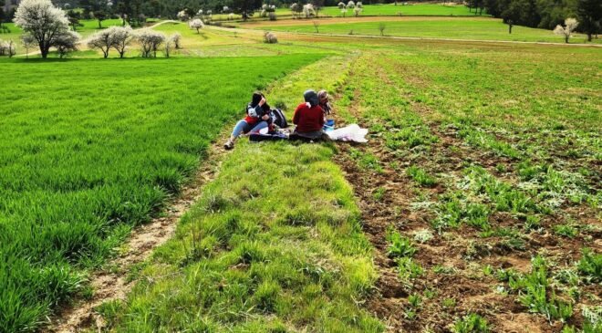 Hisarcık’ta tarımsal saha çalışmaları yapıldı