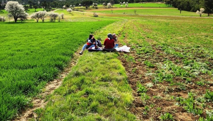 Hisarcık’ta tarımsal saha çalışmaları yapıldı