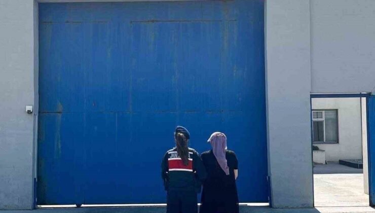 Jandarma 10 yıl hapis cezasıyla aranan şahsı yakaladı