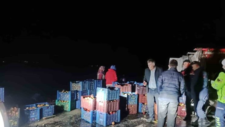 Kazada çevreye dağılan elmaları köy sakinleri topladı