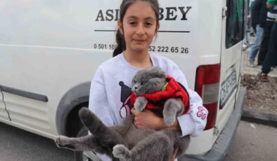 Kedisiyle stadyuma gelen minik taraftar bu sefer de Bursaspor’un yanında