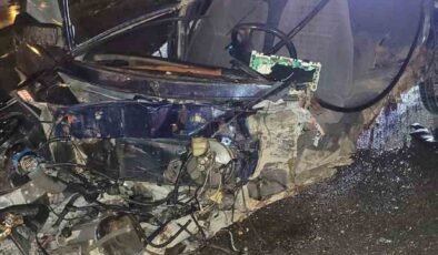 Köprü bariyerlerine çarparak parçalanan otomobilin sürücüsü hayatını kaybetti