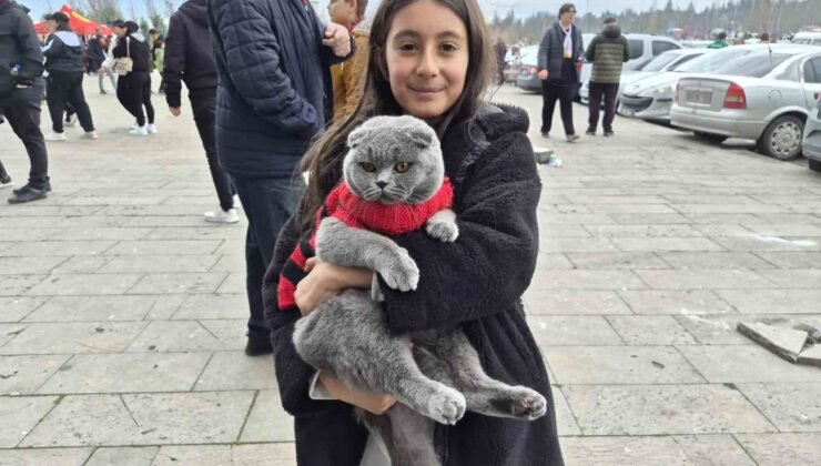 Küçük çocuk Eskişehirspor maçına kedisi ile geldi