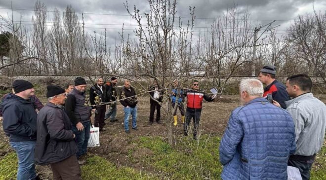 Kütahya’da meyve üreticilerine budama ve aşılama eğitimi