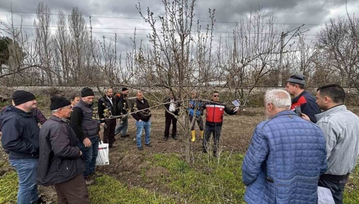 Kütahya’da meyve üreticilerine budama ve aşılama eğitimi