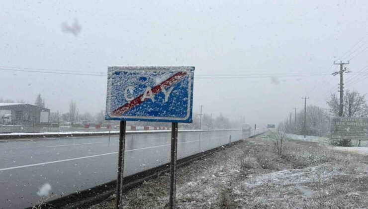 Lapa lapa yağan kar ilçeyi beyaza bürüdü