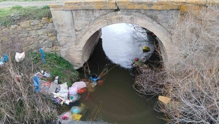 Tavşanlı’da bilinçsizce hareket çevre kirliliğine sebep oluyor