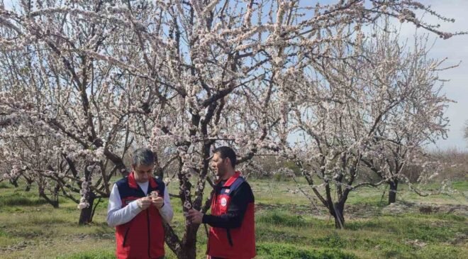 Zirai don uyarısı sonrası hasar tespit çalışması yapıldı
