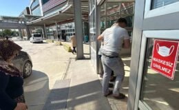 Afyonkarahisar’da 40’a yakın acemi kasap hastanelik oldu