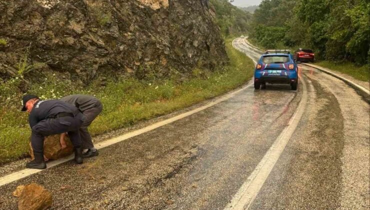 Aşırı yağış sonrası kayalar yola düştü