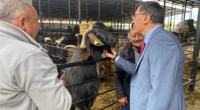 Başkan Eyüp Kahveci’den Kurban Pazarı ziyareti
