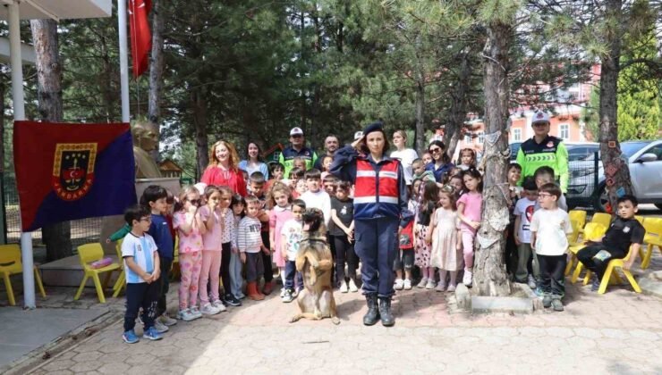 Bilecik’te 60 öğrenciye jandarmadan güvenlik eğitimi