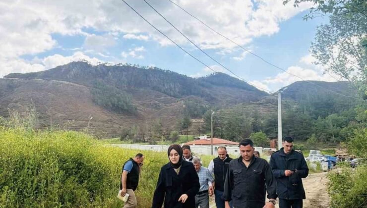 Bilecik’te büyük yangın sonrası yaralar sarılıyor