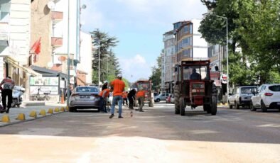 Bilecik’te çim biçme ve ilaçlama çalışmaları hız kazandı